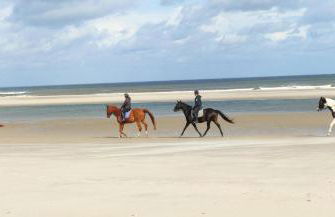 Hund im Glück - Foto 26