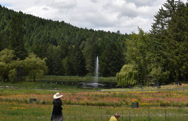 Jardines de Victoria y Butchart - Foto 12