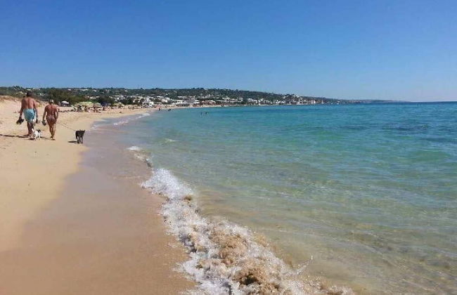 Dolce Mimì - Foto 12