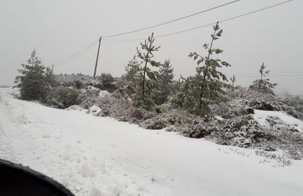 Fisgas Cabana - Foto 41