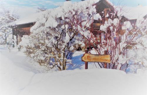 Haus Fellner**** - Foto 3