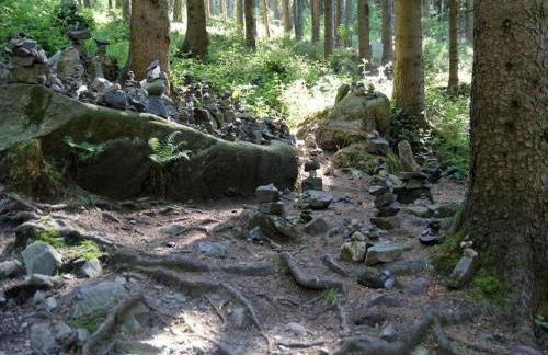 Cosy Holiday Home in the Harz Region - Foto 106