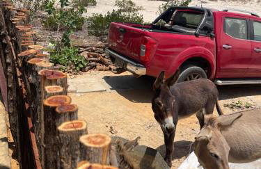 Casa Mangue - Foto 37