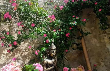 La Lumière Dorée - Foto 53