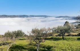 Andar Moradia T4 na Casa do Olival - Foto 45