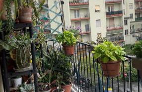 Rifugio Verde - Foto 9