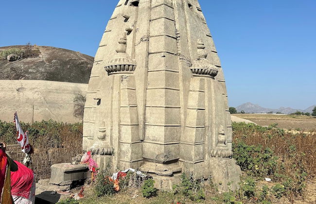 Jawai Horizon Camp - Foto 16