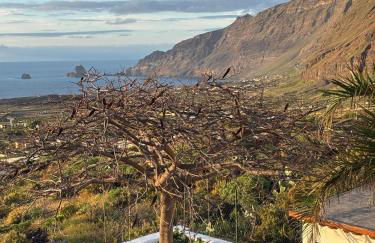 Altavista Apartamentos - Foto 13