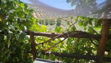 Le petit paradis de Nicole - Foto 5