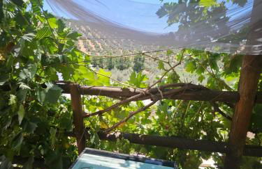 Le petit paradis de Nicole - Foto 5