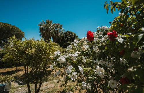 Villa Claudia - Foto 32