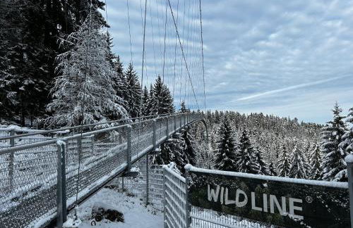 Kuckucksnest - Ferienwohnung mit Traumblick im Schwarzwald - Foto 42