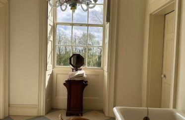 CRESSY HALL - Historic Grade II Listed Manor, Gorgeous Topiary Garden - Foto 71