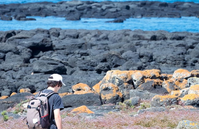 Sails - Elegant, spacious beach villa - Foto 22