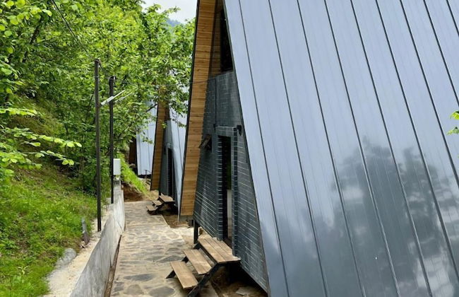 GreenWood Merisi - Foto 7