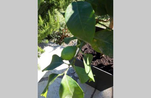 Casa Nora Adriatica - Foto 32