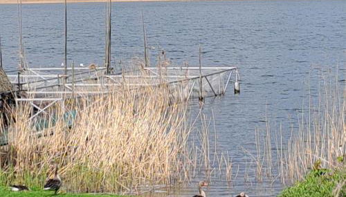 Haus Barsch - Foto 4