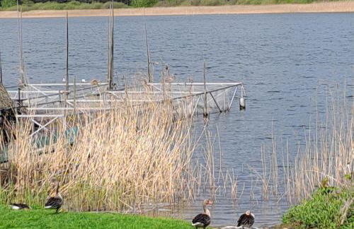 Haus Barsch - Foto 4