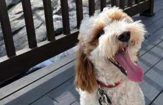 Lay Lodge at Falling Water Resort - Foto 10