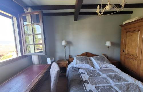 Beautiful Lake Annecy Villa - Foto 49