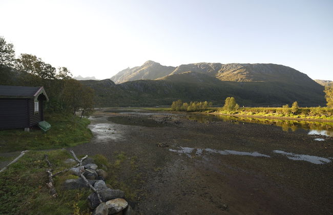 Gullesfjord Camping - Foto 68