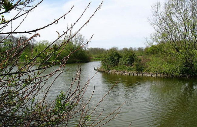 Luxury Lodge nr Beach - Photo 37