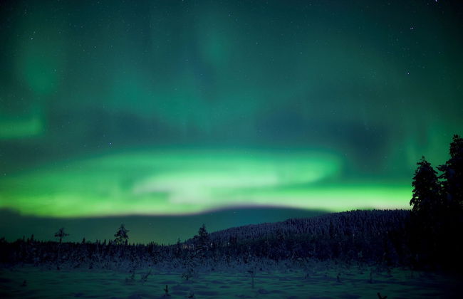 Villa Happy Fox - Foto 59