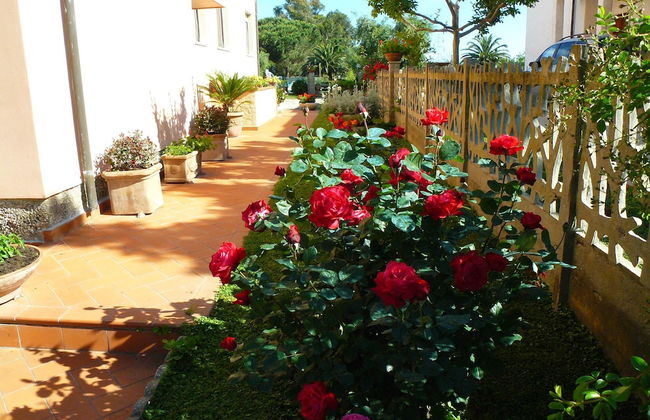 La Mimosa - Photo 61