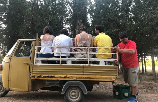 Antica Masseria Jorche - Foto 22