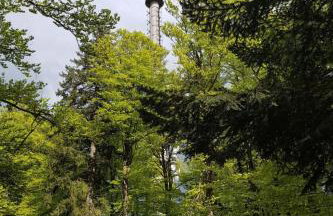 Apartment Charmante Wohnung in Langfurth mit Kleinem Balkon by Interhome - Foto 19