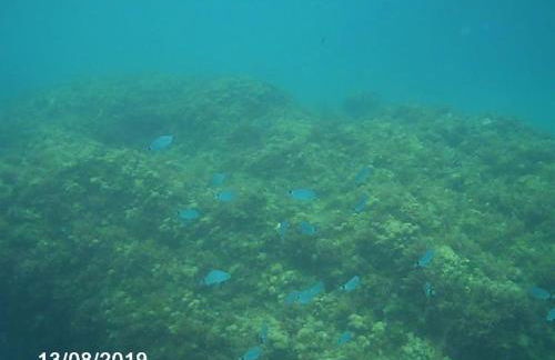 HH Apartamento La Herradura Playa - Photo 5