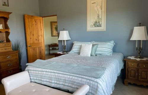 Tucson Mnt Foothills Saguaro Bliss - Foto 15