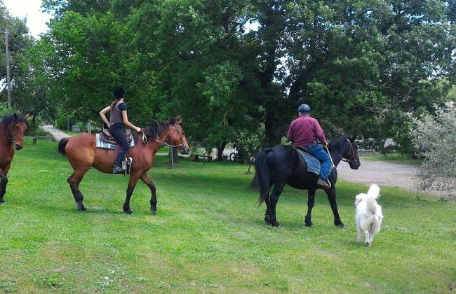 Agriturismo San Filippo - Foto 5