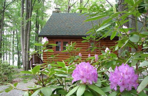 Idyllic Waterfront Log Cabin in Wayne County Overlooking Lake Wallenpaupack, Pennsylvania - Foto 8