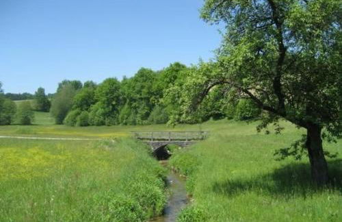 Holiday Home in Röhrnbach mit Grill und Terrasse by Interhome - Foto 20