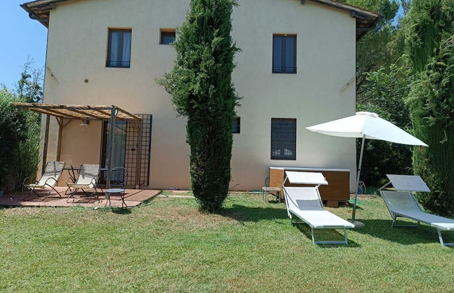 Gatto Bianco Tizzauli - Foto 19