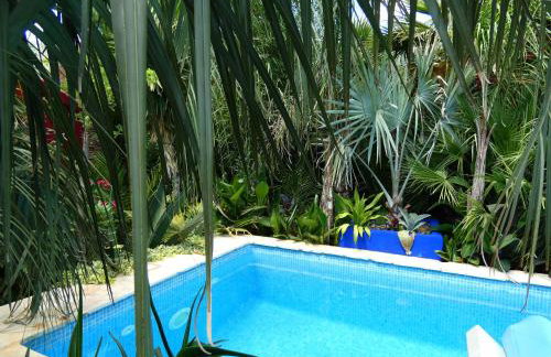 Villa Tropica, total privacy, tropical garden and private pool - Photo 11