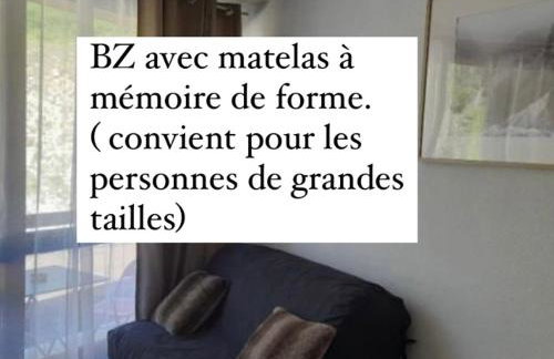 Charmant studio au pieds des remontées mécaniques. - Foto 16