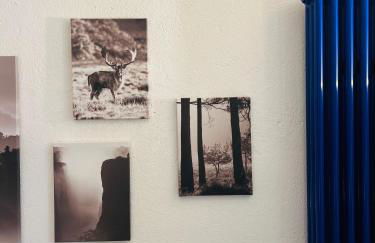 La casetta di Gigi - Foto 6