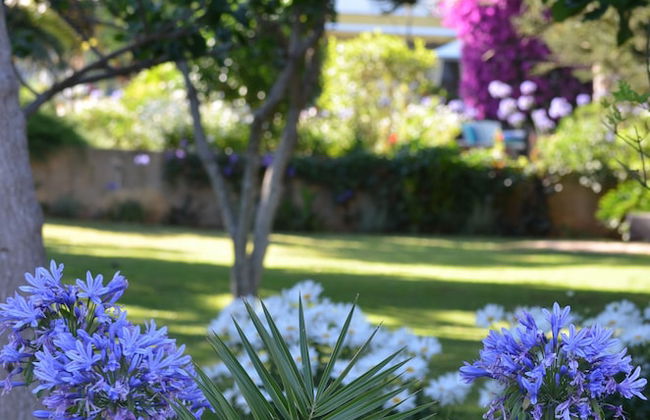 Cosy Decorated Studio at Quinta Paraiso da Mia - Foto 11