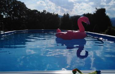 Eli's House - Foto 12