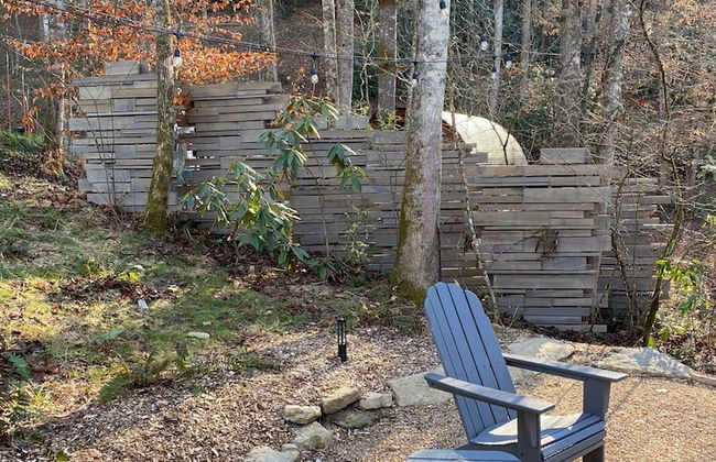 Silver Fern in Pisgah Forest - Foto 40