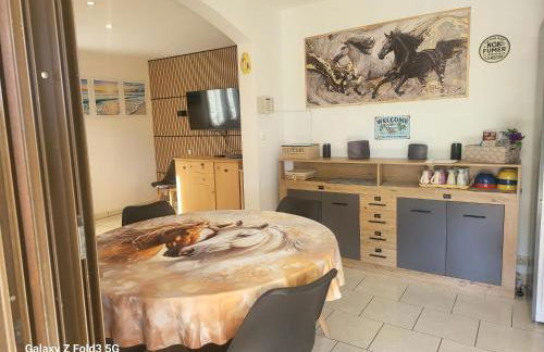 horizon bleu vendres plage Animaux bienvenues sur demande - Foto 10