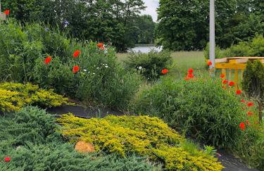 Domki Zaczarowana Łąka Borach Tucholskich - Foto 2
