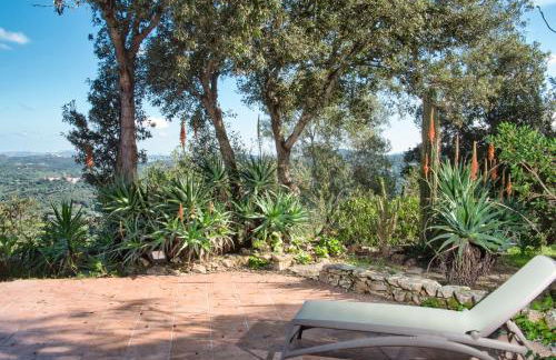 Villa Marinella - Foto 6