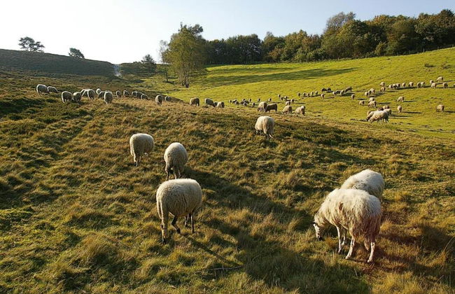 Peace, Nature & Comfort Combined - Photo 38