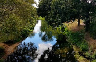 Ferienhaus am See Goch Kessel - Foto 34