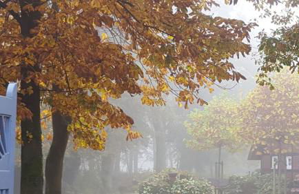 Gästehaus am Kattensteert - Foto 13