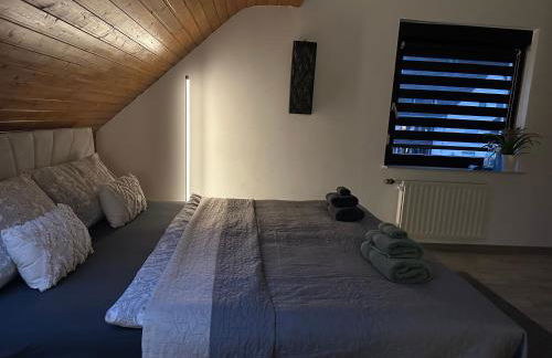 Blick auf den Rhein - Foto 14