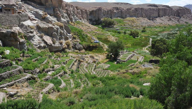 A panoramic view over crops in Ayquina